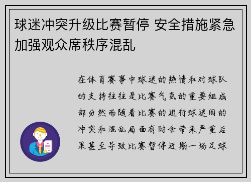 球迷冲突升级比赛暂停 安全措施紧急加强观众席秩序混乱